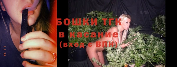 тгк Касимов