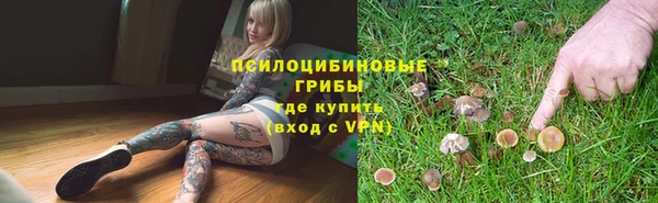 тгк Касимов