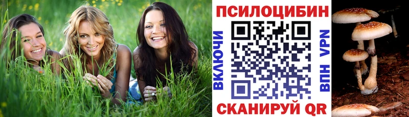 Галлюциногенные грибы мицелий  Ессентуки 